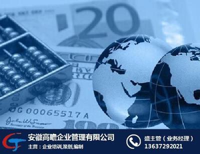 项目投资价值企划及风控报告_高瞻管理 在线咨询 _风控报告