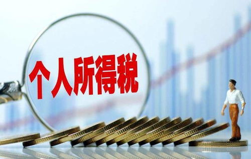境外投资注册个人独资企业节税方案 投资管理与咨询的优化路径
